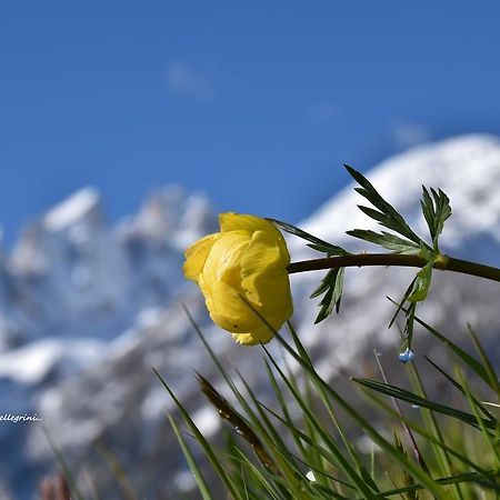 Albergo Ombrettola Фалькаде Экстерьер фото